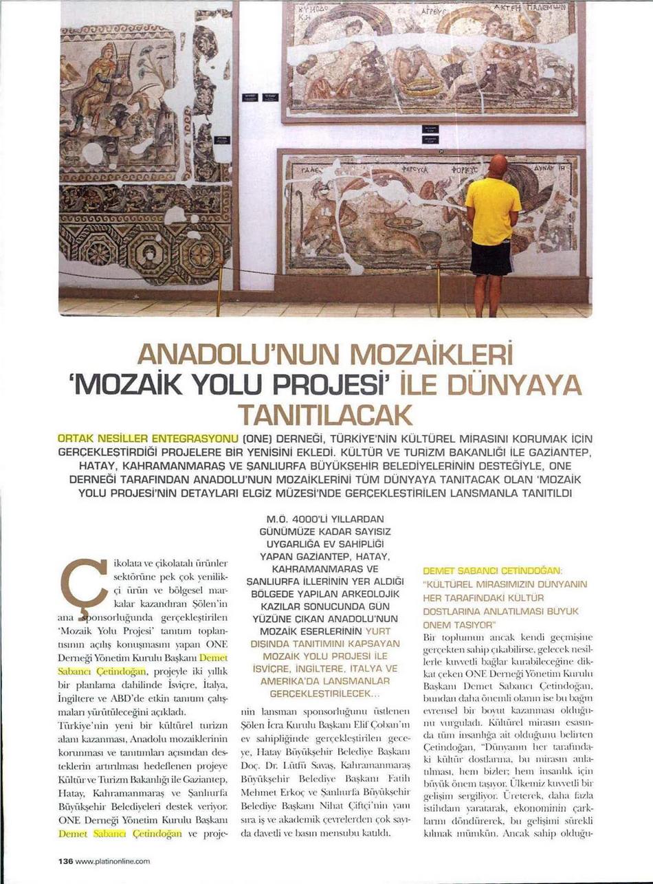 Platin_2016-03-01_136